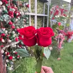 Single Flowers - Red